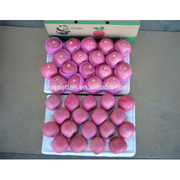 Yantai fruta fresca vermelho fuji maçã melhor preço exportador na china